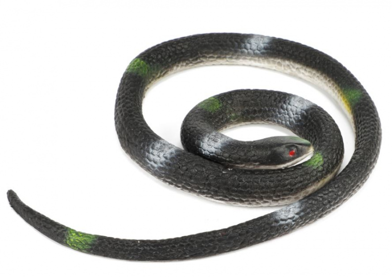 Toi-Toys play animal Animal World hose 150-200 cm rubber black ...